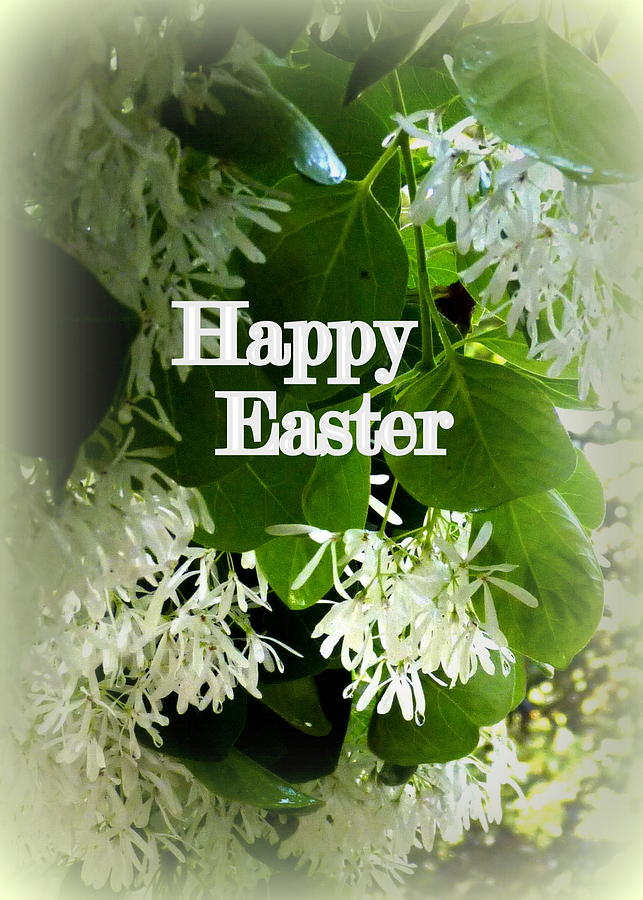 floral-happy-easter-greeting-card-carla-parris.