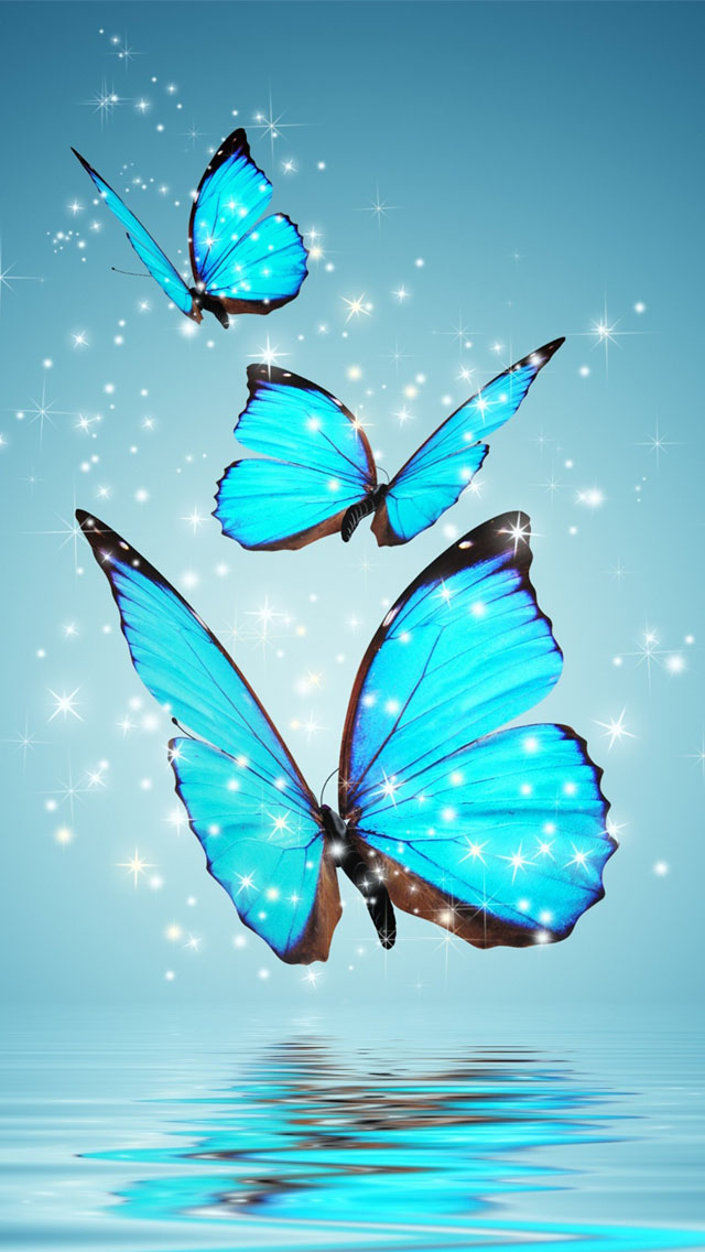 Blue-Butterflies