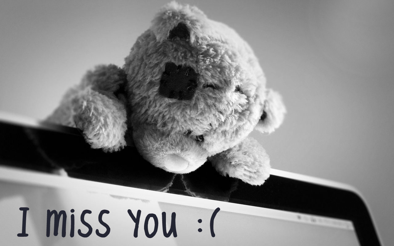 i-miss-you-with-teddy-hd-wallpapers.