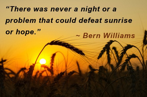 sunrise-wheat