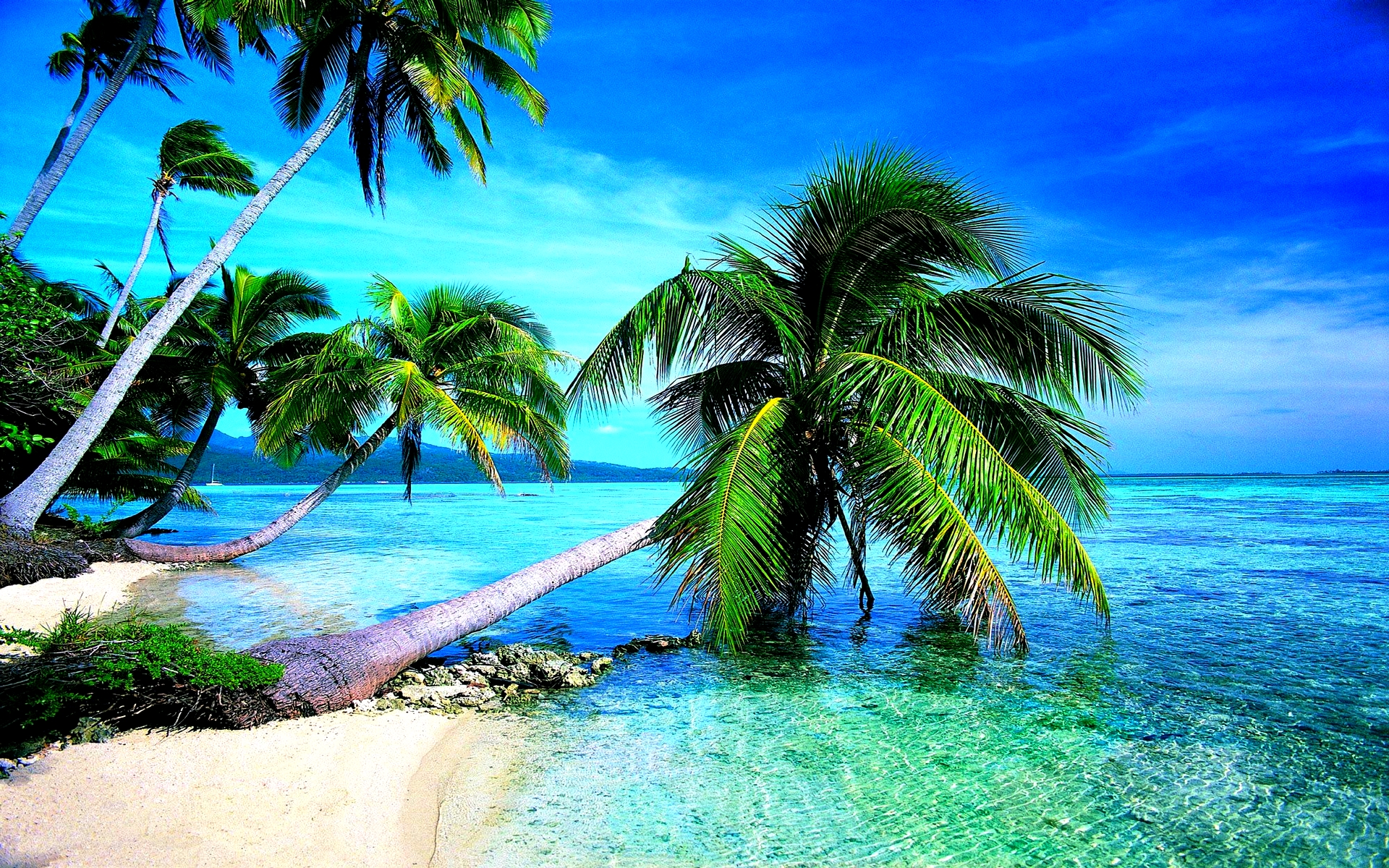 tropical-beach-widescreen-wallpapers-in-hd-free-download-beach-images
