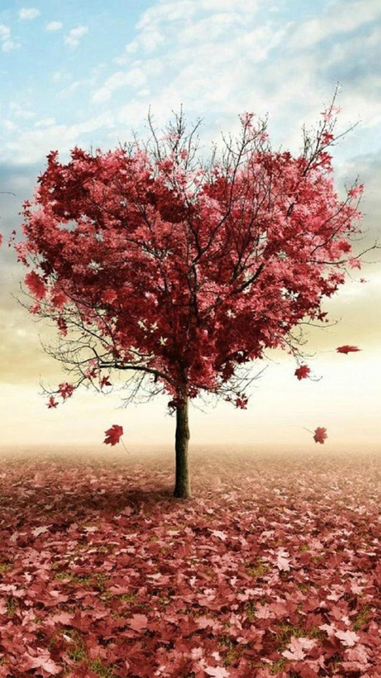 tree-love-iphone-6-wallpapers