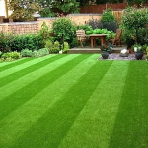 Lawn and Artificial Turf