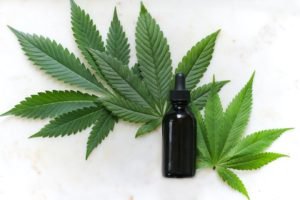 Hemp Products: How to Use Them for Your Benefits?