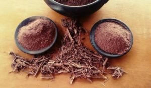 Mimosa Hostilis Root Bark; Health Benefits and Uses